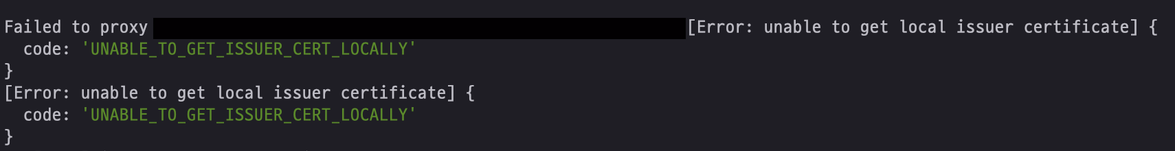 Next.js proxy failed